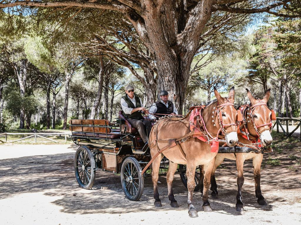 Casa Rural Aldea Chica Los Canos De Meca Εξωτερικό φωτογραφία