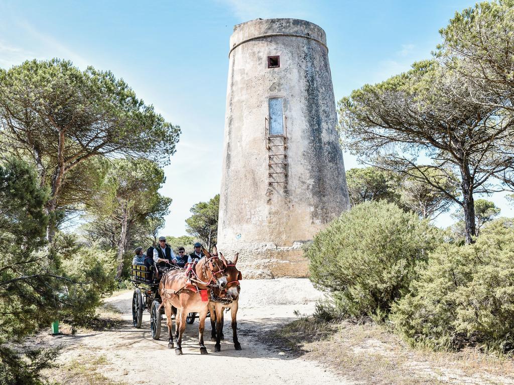 Casa Rural Aldea Chica Los Canos De Meca Εξωτερικό φωτογραφία