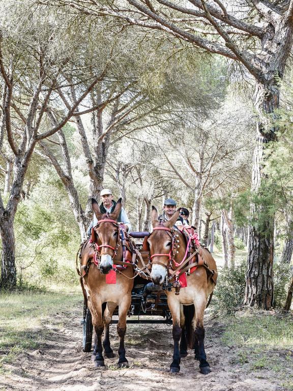 Casa Rural Aldea Chica Los Canos De Meca Εξωτερικό φωτογραφία